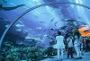 Jakarta Aquarium & Safari, Destinasi Wisata Edukasi Keluarga yang Menyatukan Hiburan dan Pembelajaran