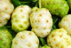 Mengkudu: Lebih dari Sekadar Buah dengan Aroma Khas