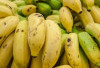 Pisang: Buah Kaya Manfaat untuk Kesehatan dan Energi Sehari-hari!