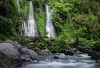 Hidden Gem Banyuwangi! Air Terjun Jagir Sajikan Tiga Air Terjun dalam Satu Lokasi