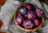 Lezat dan Berkhasiat! Buah Plum Ternyata Jaga Kesehatan Mata dan Bantu Turunkan Berat Badan