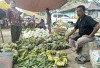 Pasokan Lancar, Harga Pisang di Kalangan Terusan Tetap Terjangkau