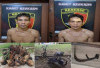 Kepergok Warga , Dua Pencuri Buah Kelapa Sawit Diserahkan ke Polsek Babat Supat