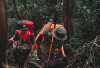Catat! Pendakian Gunung Dempo Pagaralam Sumsel Ditutup, Mulai Tanggal 2 hingga 8 Juni 