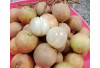 Senyawa Misterius dalam Buah Rambai Berpotensi Jadi Terapi Epilepsi!