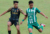 Persiraja Banda Aceh Kokoh di Puncak, Sriwijaya FC Terpuruk di Penyisihan Liga 2 2024/25  