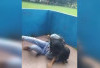 Perkelahian Dua Siswi SMP di Lubuk Linggau Dipicu Masalah Percintaan