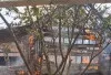 Ditinggal ke Kebun, Rumah Warga Bukit Indah Plakat Tinggi Ludes Terbakar