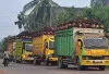 Kementan Periksa 300 Perusahaan Sawit yang Diduga Belum Naikkan Harga TBS, Satgas Pangan Turun Tangan