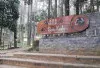 Wisata Batu Kuda Manglayang, Surga Healing di Bandung Timur yang Tawarkan Hutan Pinus dan Petualangan Alam