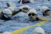 Triathlon Buddies Rayakan HUT ke-14, Hadirkan Event Ramah Pemula di GBK