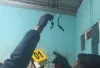 Heboh, Pria 33 Tahun Gantung Diri di Kamar Mandi Rumah