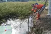 Hadapi Musim Kemarau, BPBD OKI Siagakan 9 Posko Karhutla