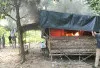 Pemdes Maur Lama Bakar Dua Pondok Diduga Sarang Narkoba