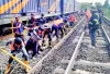 Siap-siap, Bakal Ada Rencana Pembangunan Jaringan Rel Kereta Api di Kalimantan hingga Menembus Sulawesi  ​