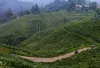 Tak Perlu ke Bali, Desa Wisata Malasari Bogor Punya Hamparan Sawah Hijau yang Memukau