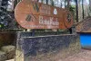 Mau Healing di Bandung? Batu Kuda Manglayang Punya Hutan Pinus Indah, Jalur Trekking, dan Camping Ground Luas