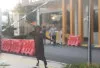 Heboh di Polrestabes Palembang, Wartawan Kocar-kacir Dikejar Wanita Bawa Batu