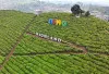 Swiss-nya Bandung Makin Hits! Nimo Highland Jadi Destinasi Favorit Wisatawan di 2026