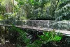 Forest Walk Babakan Siliwangi Bandung Direvitalisasi, Destinasi Santai Favorit Anak Muda Siap Tampil Lebih Kec
