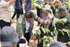 Jaga Kelestarian Lingkungan, Herman Deru Tanam Pohon Khas Daerah dan Instruksikan Perbaikan WTP Kebun Raya Sri