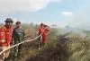 Kebakaran Lahan 2 Hektare Kembali Terjadi di Ogan Ilir, Tim Gabungan Turun Padamkan Api